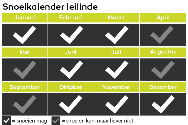 wanneer leilinden snoeien